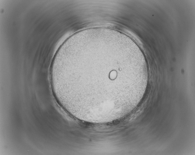 X0000077280907200611171559