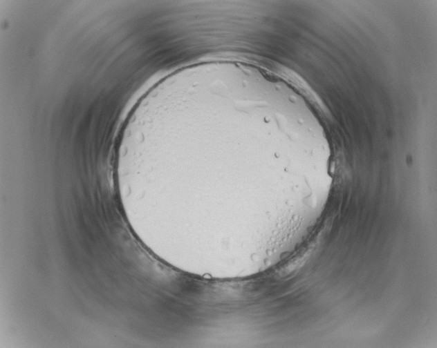 X0000077280908200611171559