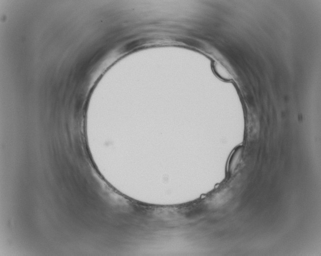 X0000077280909200611171559