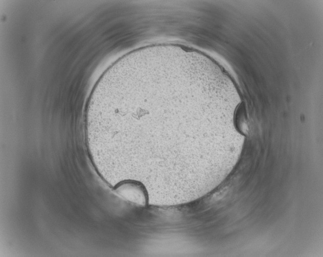 X0000077280911200611171559