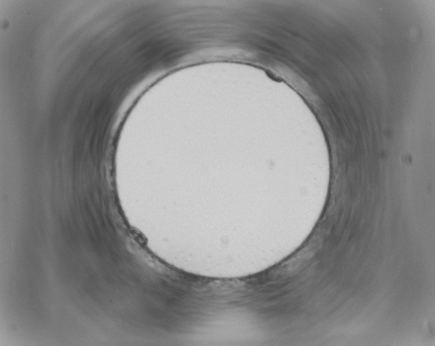 X0000077280912200611171559