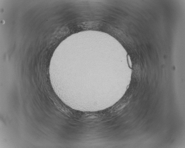 X0000077280913200611171558