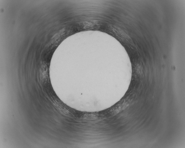 X0000077280914200611171558