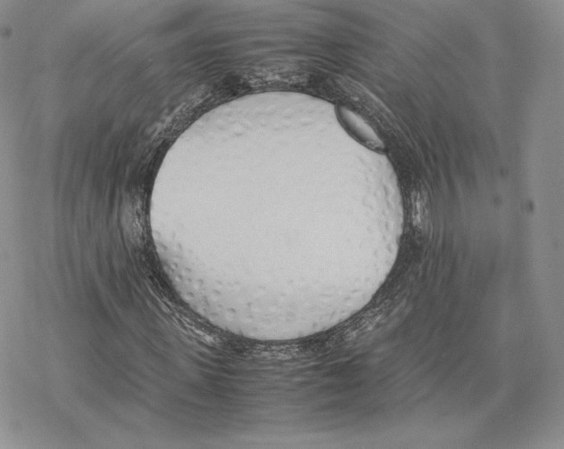 X0000077280915200611171558