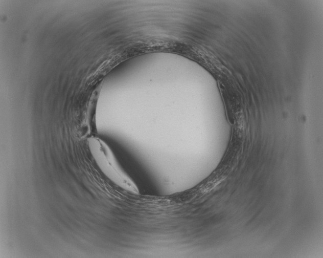 X0000077280916200611171558