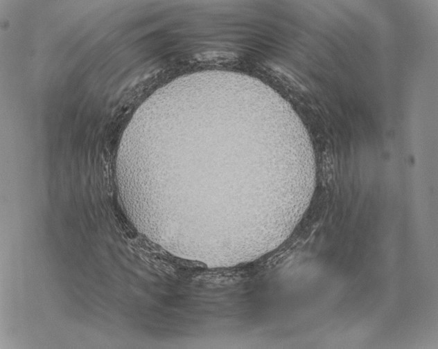 X0000077280917200611171558