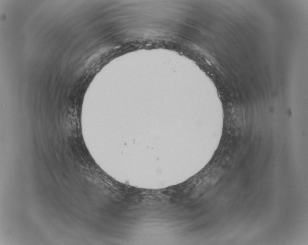 X0000077280918200611171558