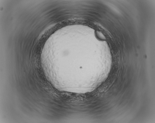 X0000077280919200611171558