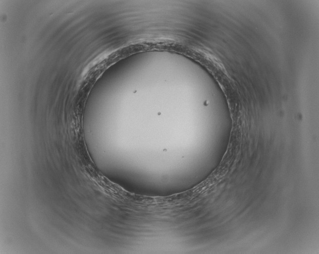 X0000077280920200611171558