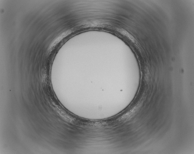 X0000077280922200611171558