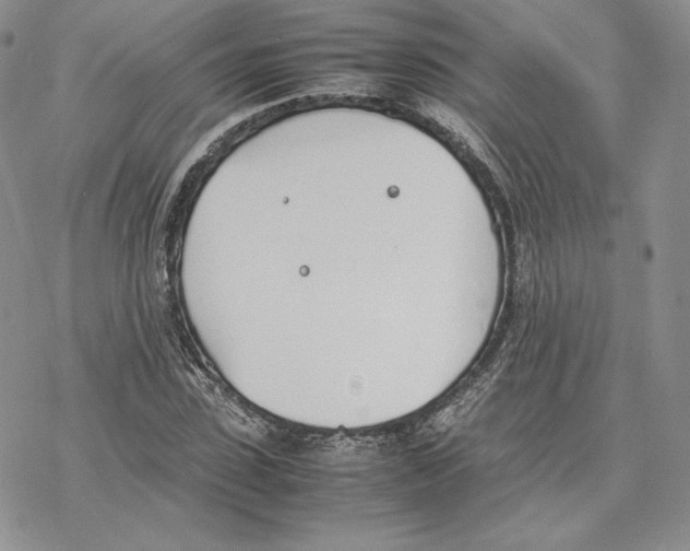 X0000077280923200611171558