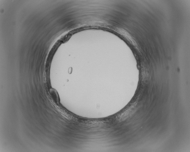 X0000077280924200611171558