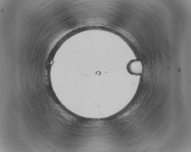 X0000077280926200611171558