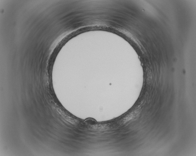 X0000077280927200611171558