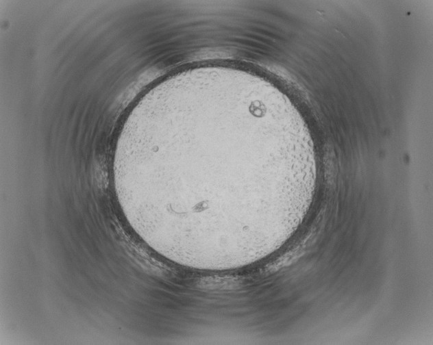 X0000077280929200611171558