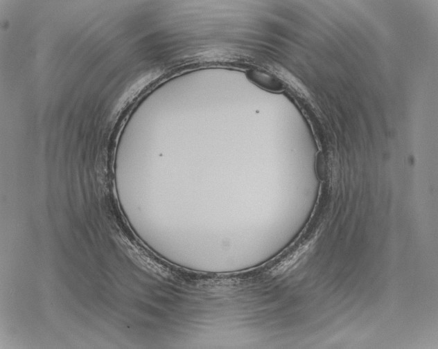 X0000077280930200611171558