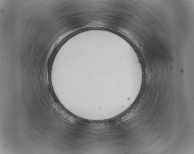 X0000077280931200611171558