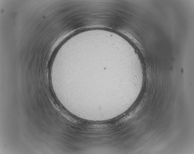 X0000077280933200611171558