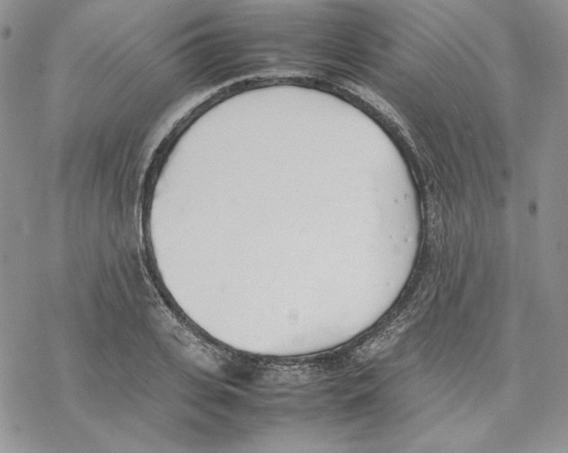 X0000077280935200611171558