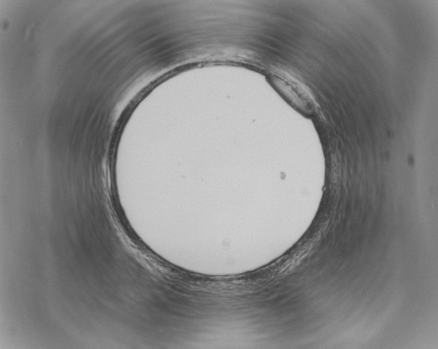 X0000077280936200611171558