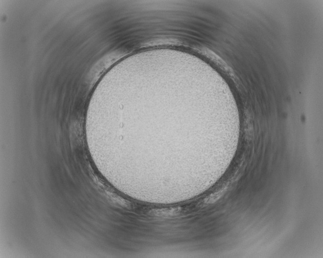 X0000077280937200611171558