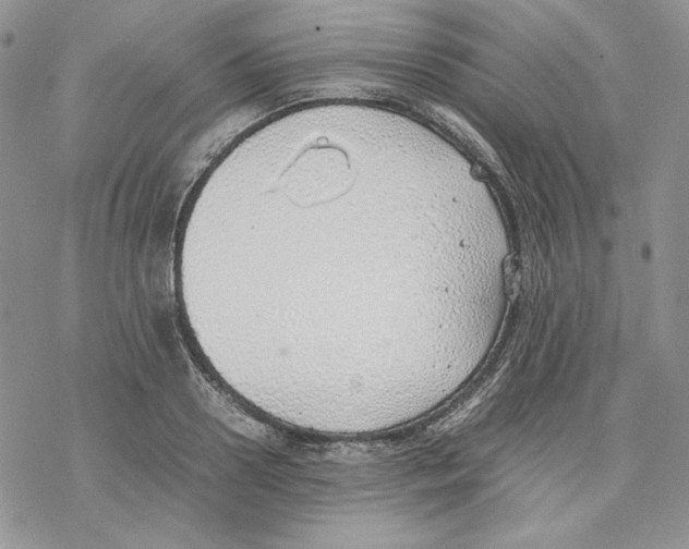 X0000077280938200611171558