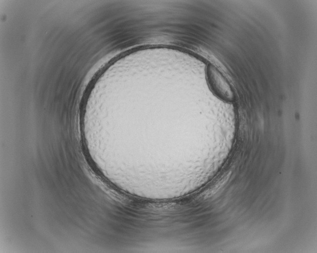 X0000077280939200611171558