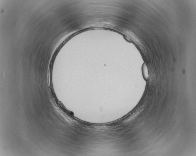 X0000077280940200611171558