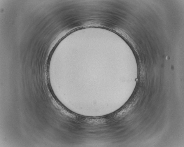 X0000077280941200611171558