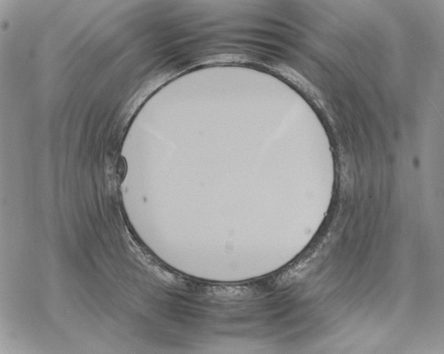 X0000077280945200611171559