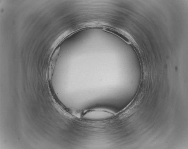 X0000077280946200611171559