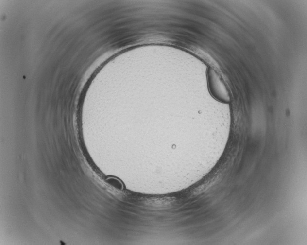 X0000077280947200611171559