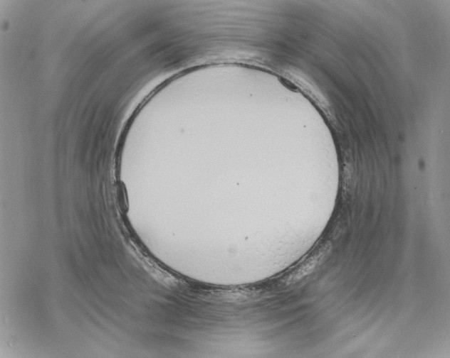 X0000077280948200611171559