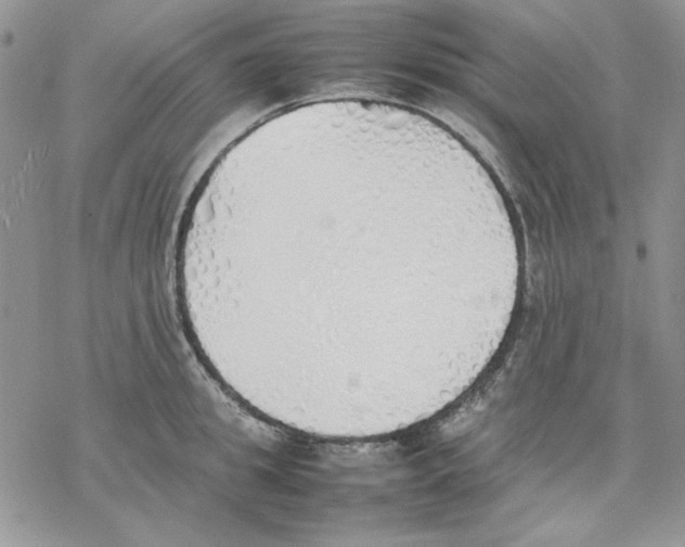 X0000077280949200611171559