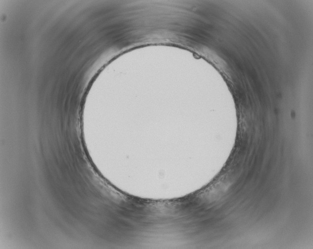 X0000077280950200611171559