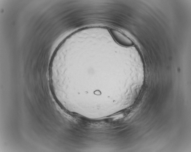 X0000077280951200611171559