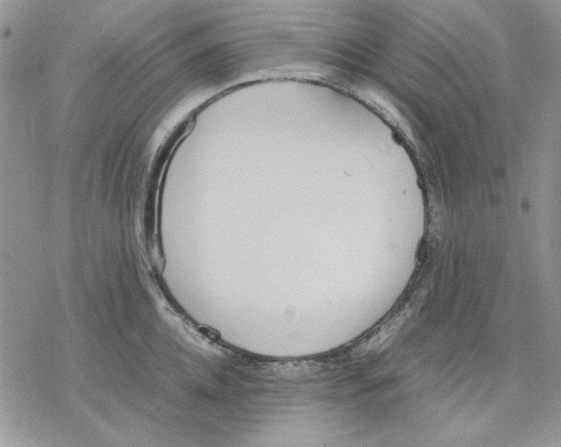 X0000077280952200611171559