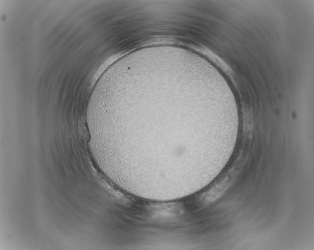 X0000077280953200611171559