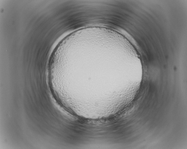 X0000077280955200611171559