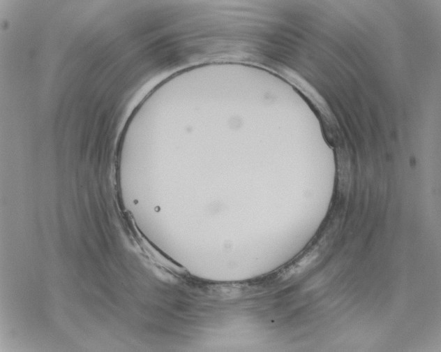 X0000077280956200611171559