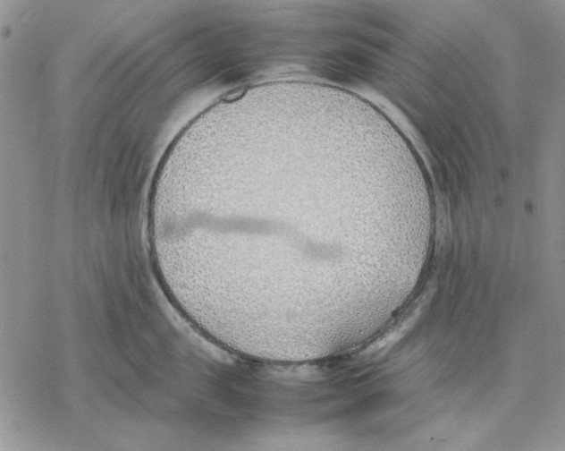 X0000077280957200611171559