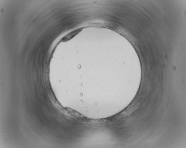 X0000077280960200611171559