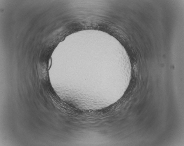 X0000077280963200611171558