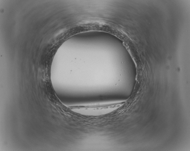 X0000077280965200611171558