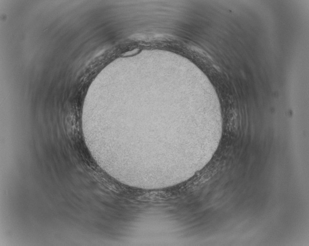 X0000077280966200611171558