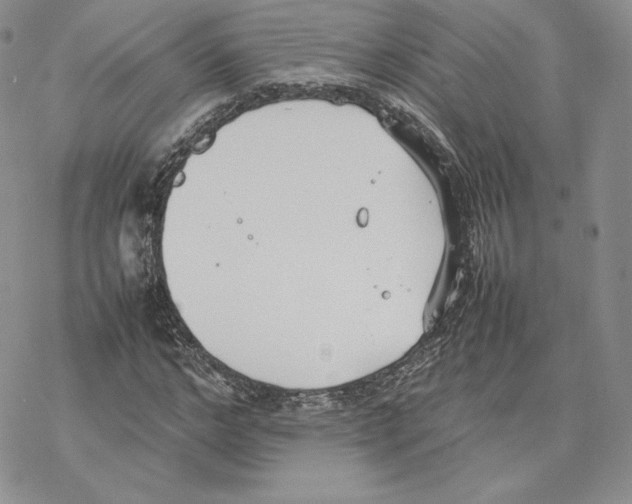 X0000077280968200611171558