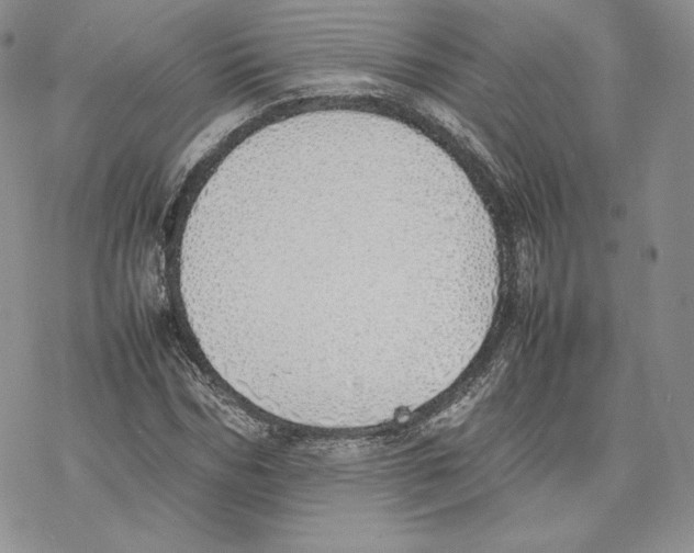 X0000077280970200611171558