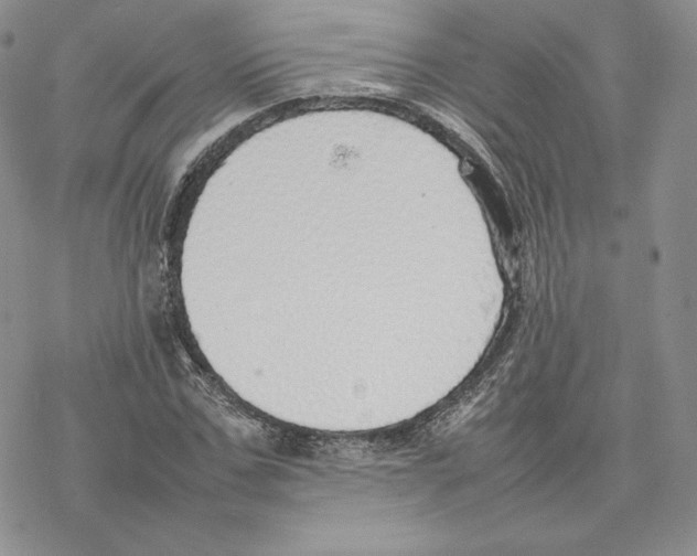 X0000077280971200611171558