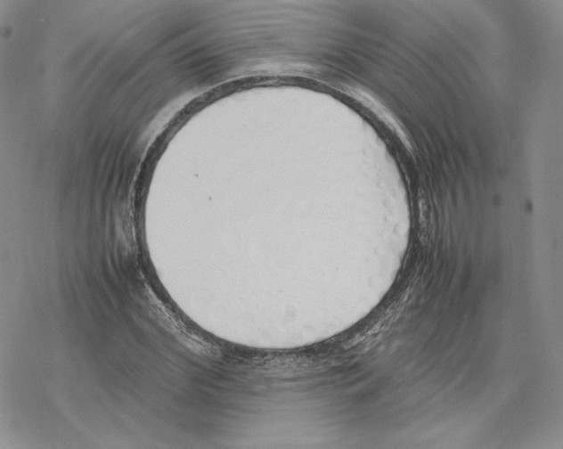 X0000077280972200611171558