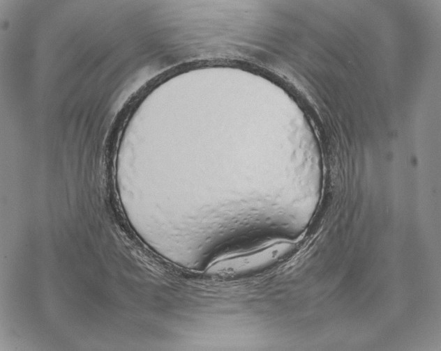 X0000077280975200611171558